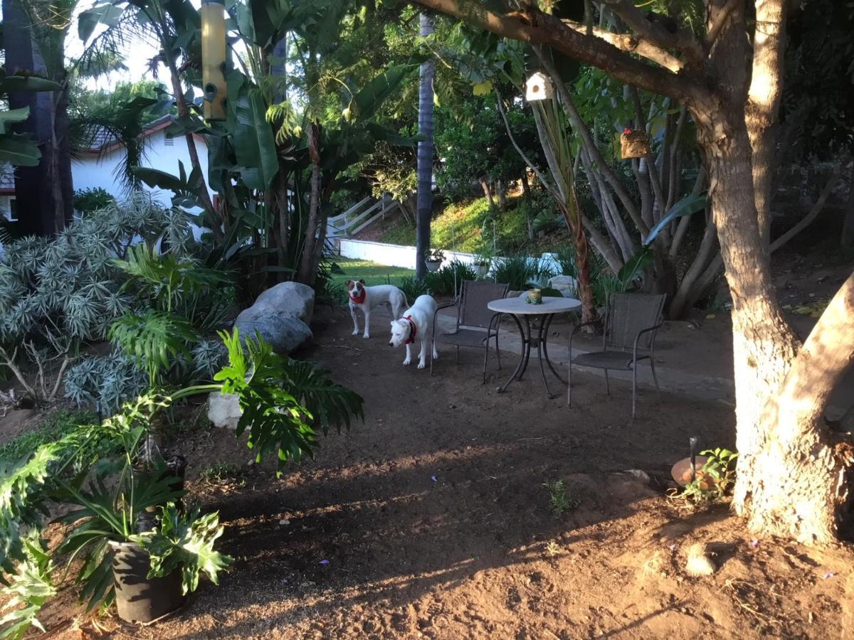 Beautiful New Detached Casita Nestled In Scenic Southern Ca Foothills! Fallbrook Ngoại thất bức ảnh